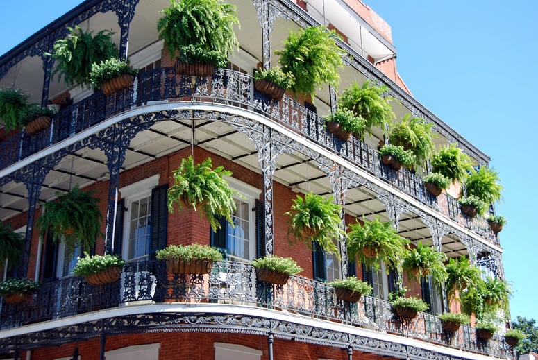 New Orleans Terrace