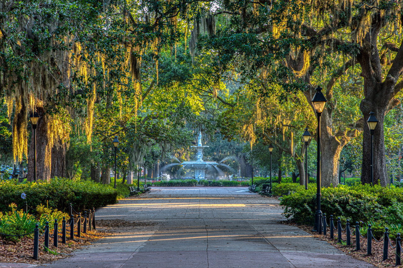 Spanish Moss Savannah Georgia